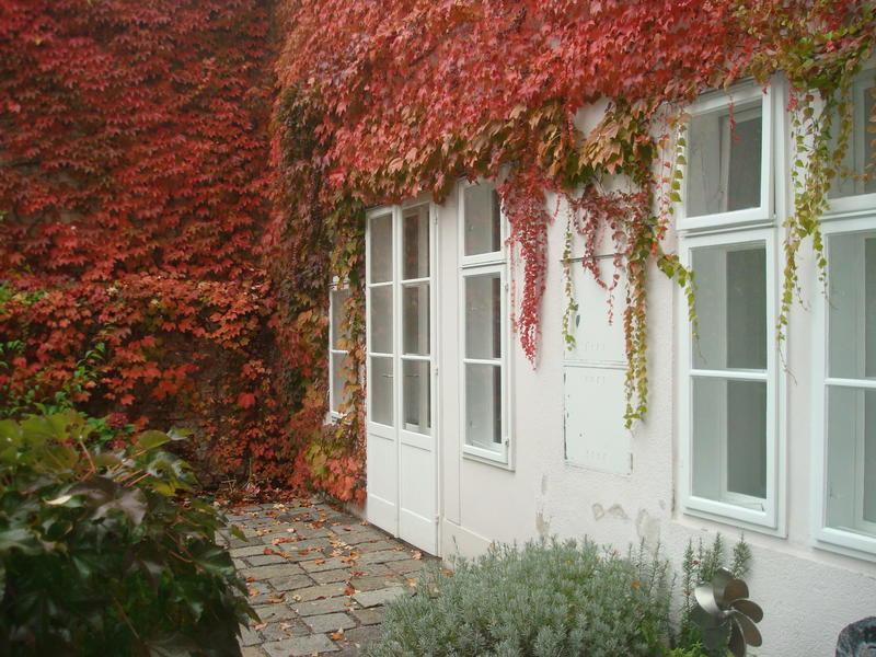 Garconniere mit Gartenblick in der Krongasse