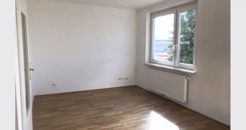 Single wohnung wien miete