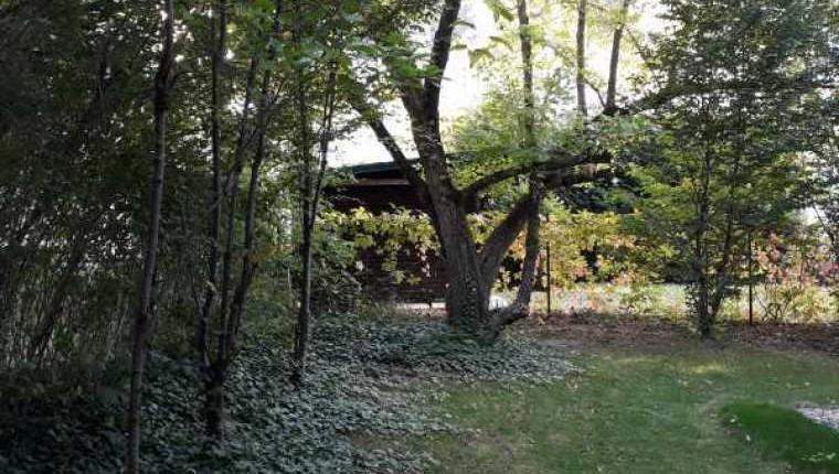 Ruhige Wohnung mir großem Garten im 13.