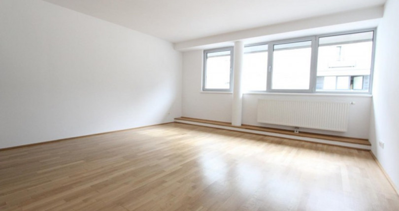 Provisionsfreie, preiswerte Garconniere im 10. Bezirk