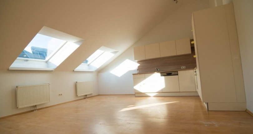 Sonnige Wohnung mit großer Dachterrasse im 15. Bezirk