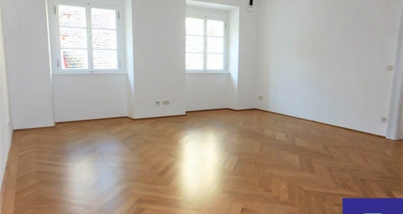 1 Zimmer Altbauwohnung In Top Lage 1010 Wien Mietguru At