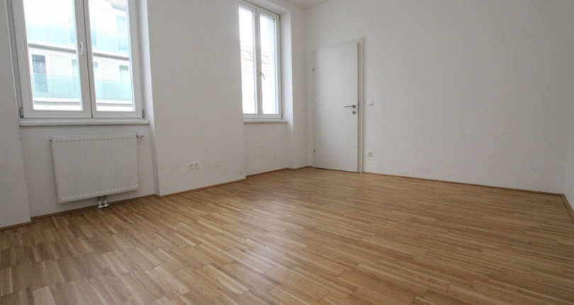 Renovierte 3 Zimmer Altbauwohnung mit Terrasse