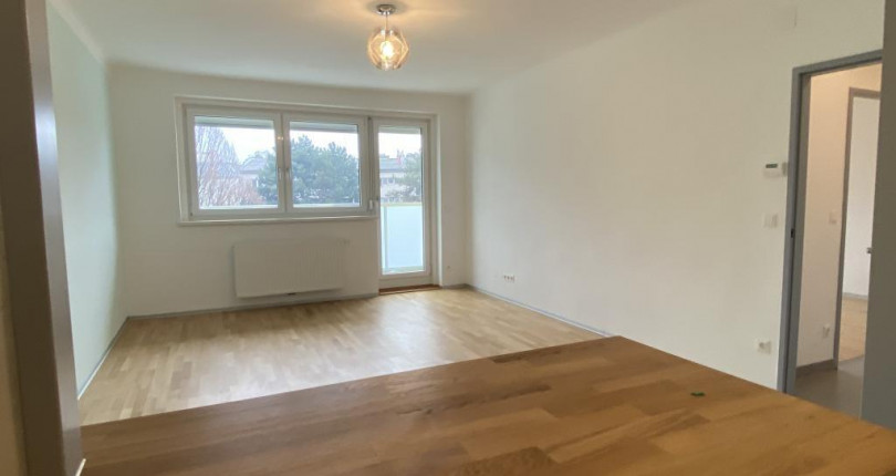 Generalsanierte 2 Zimmer-Wohnung mit Balkon