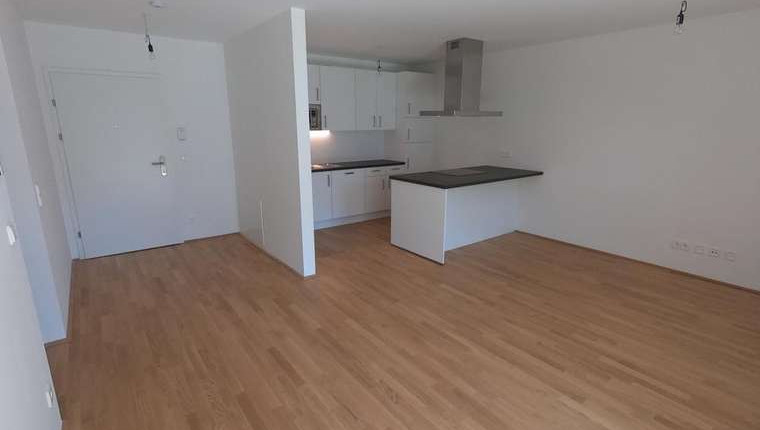 ERSTBEZUG – 2 Zimmer mit Garten und Benutzung der exklusiven DACHTERRASSE