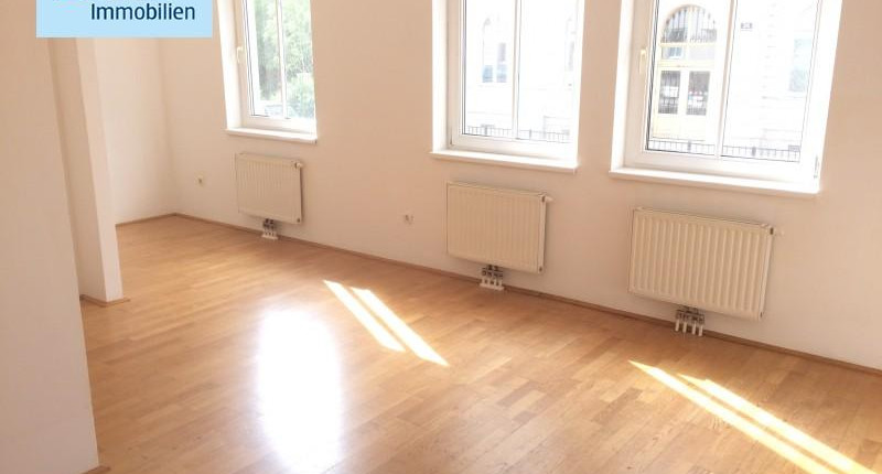 Preiswerte 1-Zimmer-Wohnung nahe Pilgramgasse