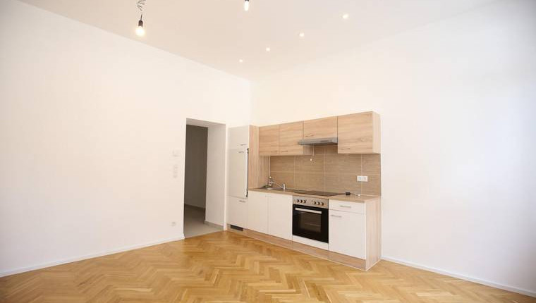 1 Zimmer sanierte Altbauwohnung UNTER 500€