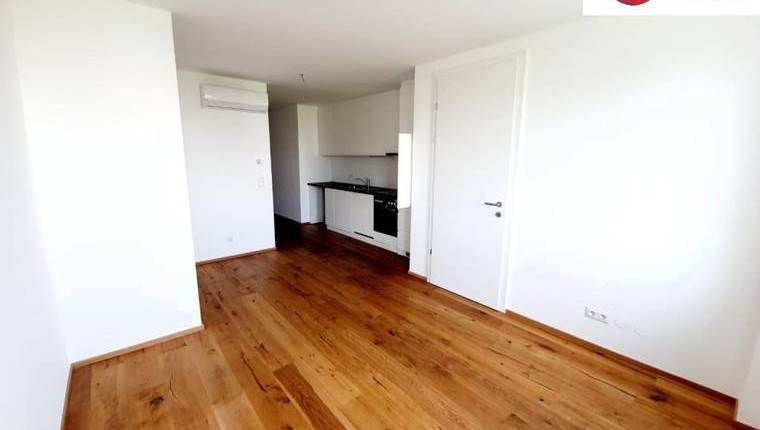 Neuwertige smarte 2 Zimmer DG-Wohnung