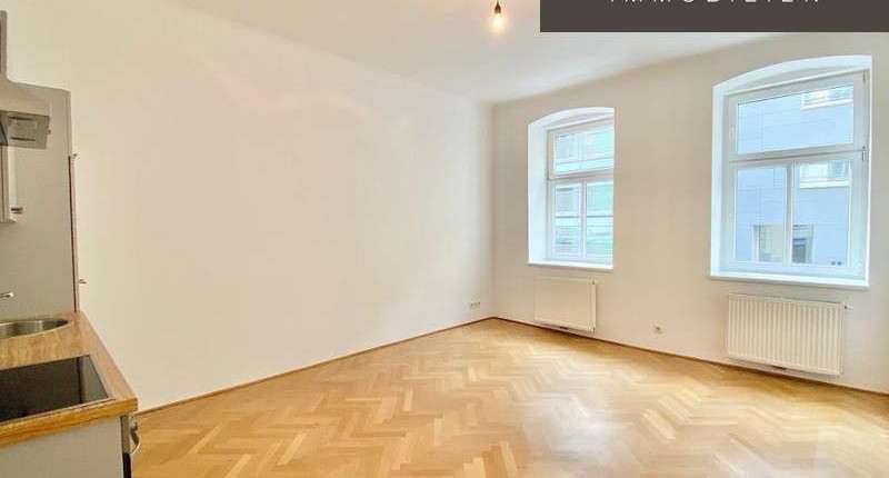 Große, schicke 1 Zimmerwohnung NEUBAU