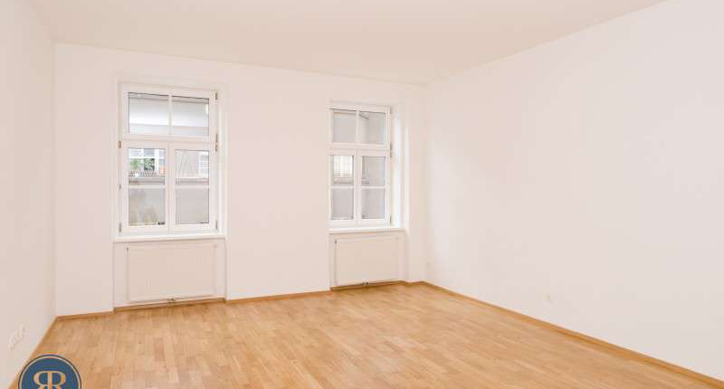 Große 1 Zimmer Wohnung Alsergrund