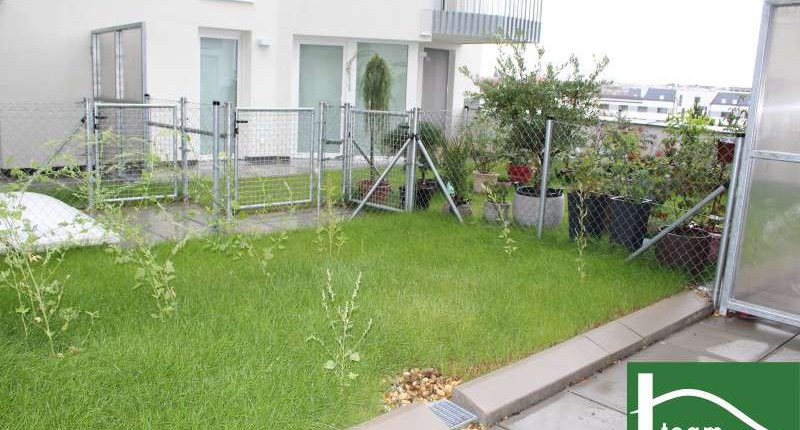 2 Zimmer Gartenwohnung mit neuer Küche