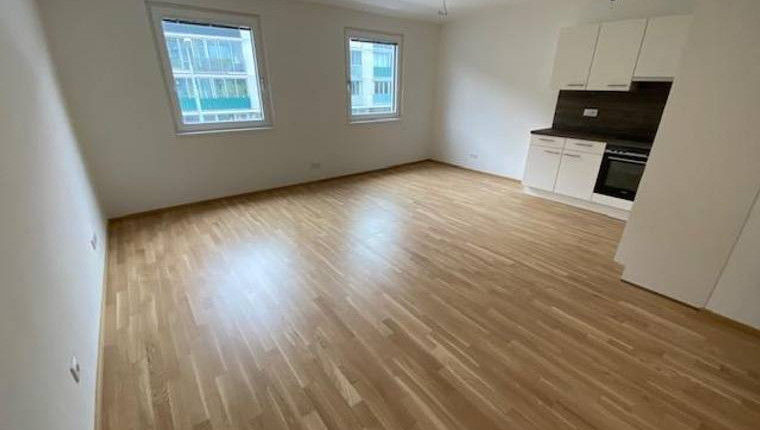 Provisionsfreie 1 Zimmerwohnung unter 550€