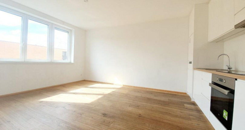 Helle zwei Zimmer Dachgeschosswohnung mit TOP Anbindung in 1070 Wien