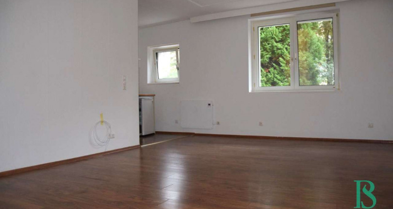 UNTER 500€: Feines, kleines Appartement – Blick ins Grüne