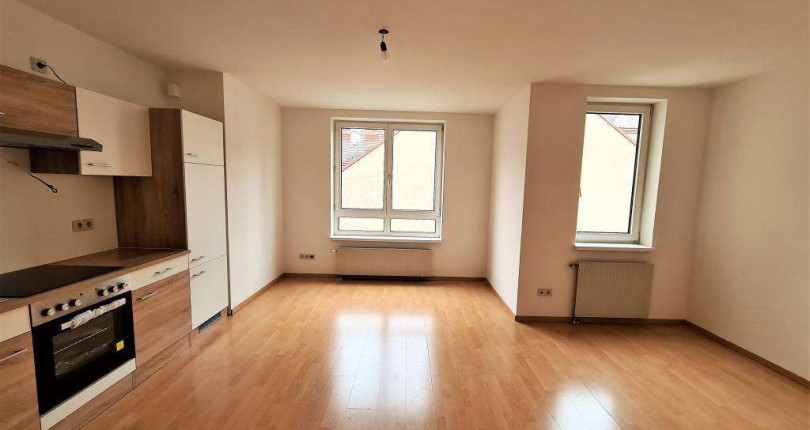 Helle Singlewohnung unter 500€