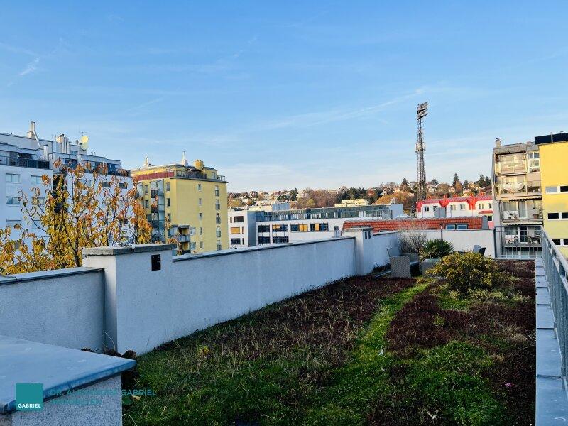 Helle Altbauwohnung mit Gemeinschaftsdachterrasse