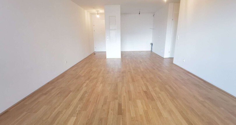 2-Zimmer Wohnung mit Loggia in Favoriten