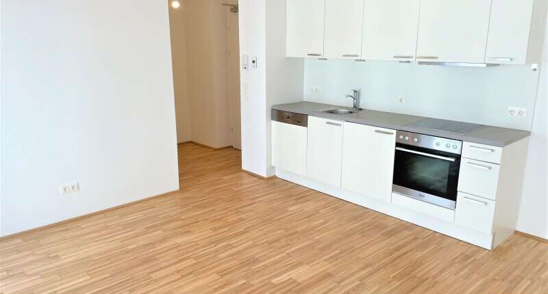 2-Zimmer-Wohnung mit Balkon in der Davidgasse